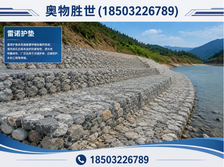 邢台雷诺护垫展示图